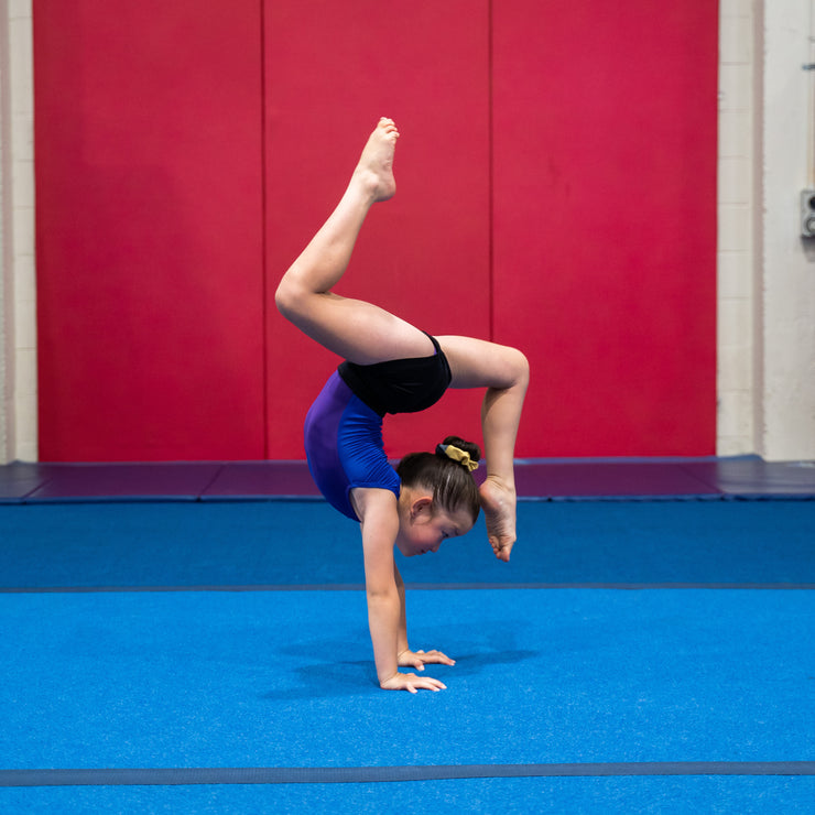 Gymnastics Classes